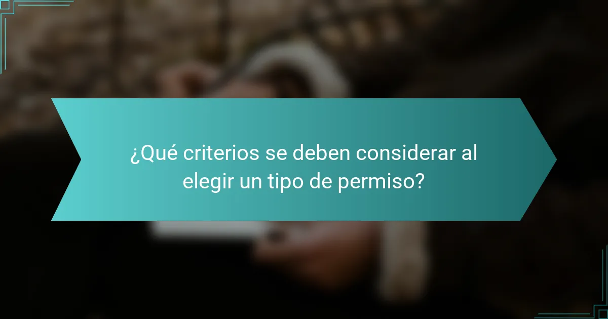 ¿Qué criterios se deben considerar al elegir un tipo de permiso?